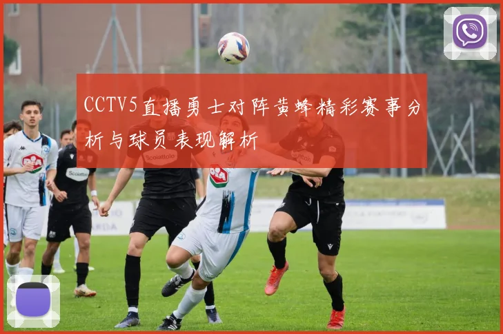 CCTV5直播勇士对阵黄蜂精彩赛事分析与球员表现解析