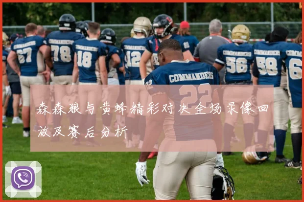森森狼与黄蜂精彩对决全场录像回放及赛后分析