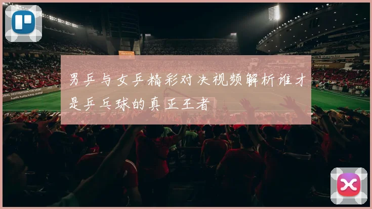 男乒与女乒精彩对决视频解析谁才是乒乓球的真正王者