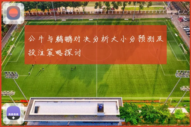公牛与鹈鹕对决分析大小分预测及投注策略探讨