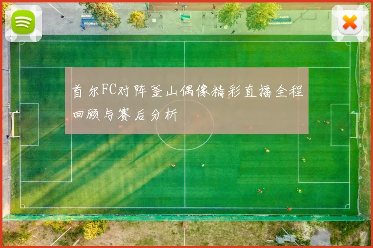 首尔FC对阵釜山偶像精彩直播全程回顾与赛后分析