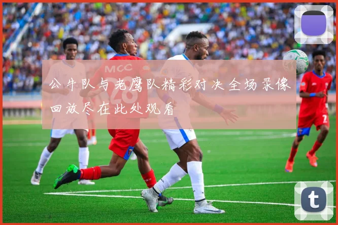 公牛队与老鹰队精彩对决全场录像回放尽在此处观看