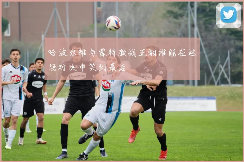 哈波尔维与蒙特激战正酣谁能在这场对决中笑到最后