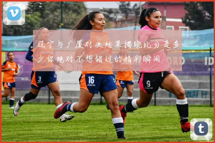 辽宁与广厦对决结果揭晓比分是多少你绝对不想错过的精彩瞬间