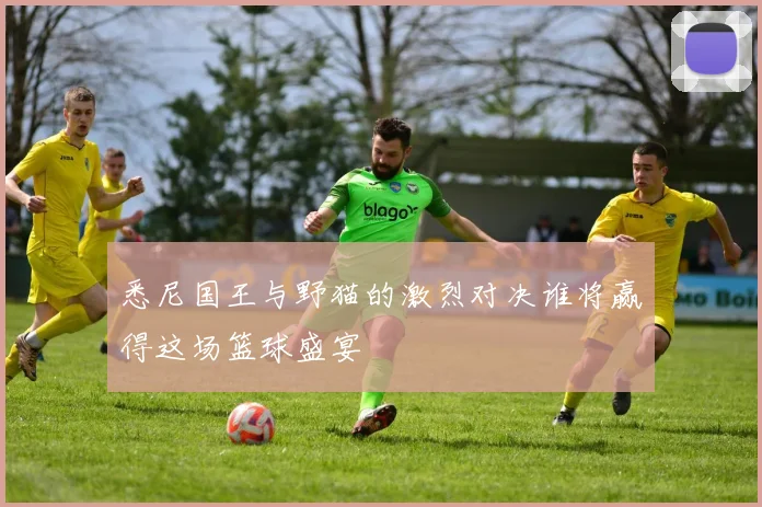悉尼国王与野猫的激烈对决谁将赢得这场篮球盛宴