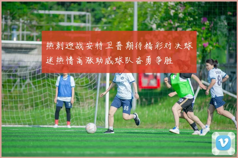 热刺迎战安特卫普期待精彩对决球迷热情高涨助威球队奋勇争胜